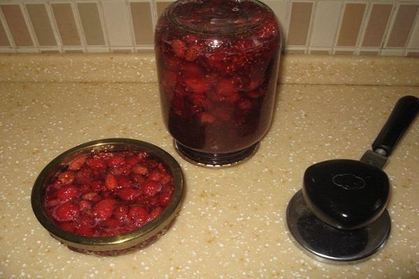 Erdbeeren für den Winter