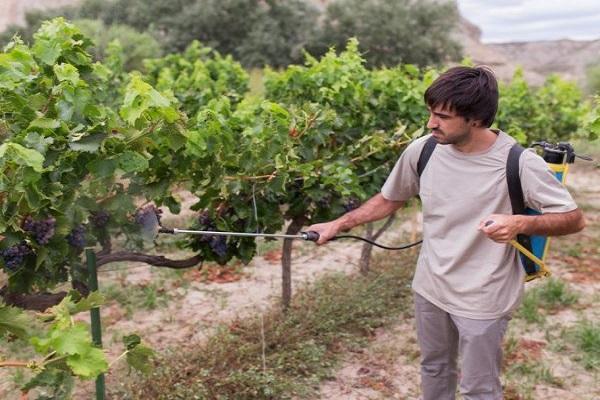 pulvérisation d'engrais