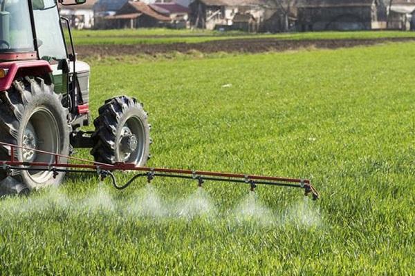 Sprühen Sie das Gras