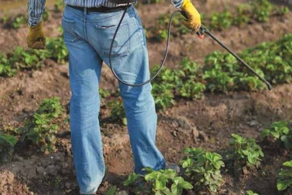 vaporiser le mélange