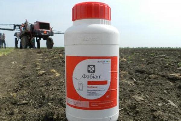 Fläschchen auf dem Boden