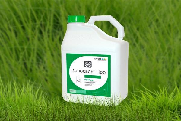 Arzneimittelverpackung