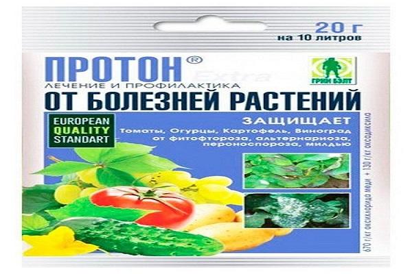 Instructions pour l'utilisation du fongicide Proton, mesures de sécurité et analogues