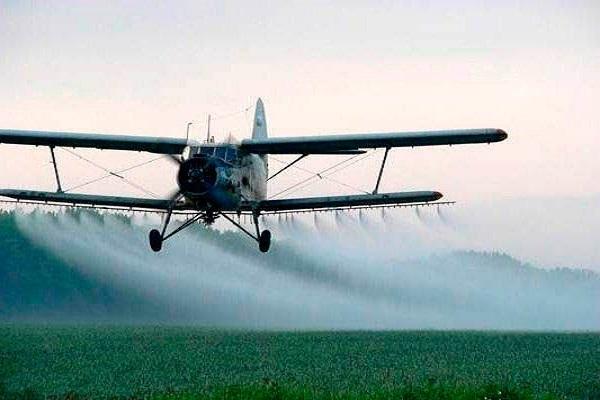 Instructions pour l'utilisation du fongicide Proton, mesures de sécurité et analogues