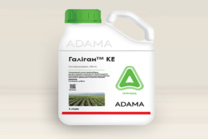 Instructions pour l'utilisation de l'herbicide Galigan, mécanisme d'action et taux de consommation