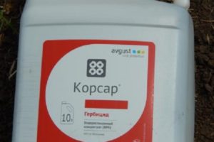 Gebrauchsanweisung des Herbizids Corsair, Verbrauchsraten und Analoga