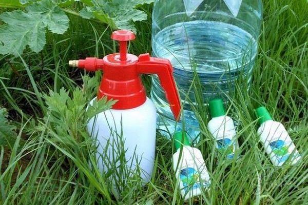 preparation for cooking