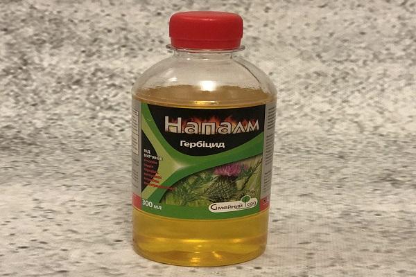 liquide dans une bouteille