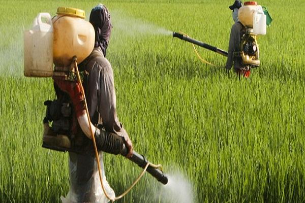 traitement dans un costume