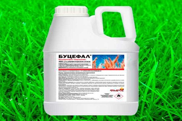 Bucephalus Chemikalie