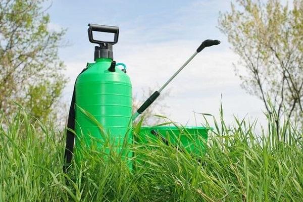 solution en bouteille