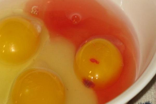 manifestation de sang