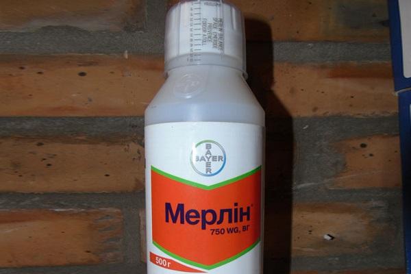 bouteille avec couvercle