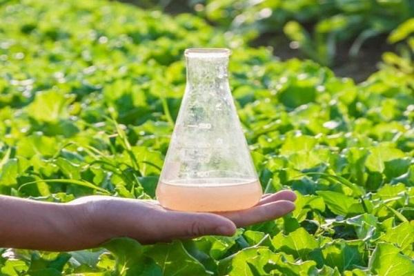 determination of consumption