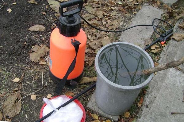 Lösungsvorbereitung