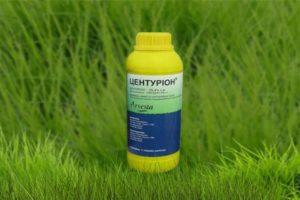 Mode d'emploi de l'herbicide Centurion, mécanisme d'action et taux de consommation