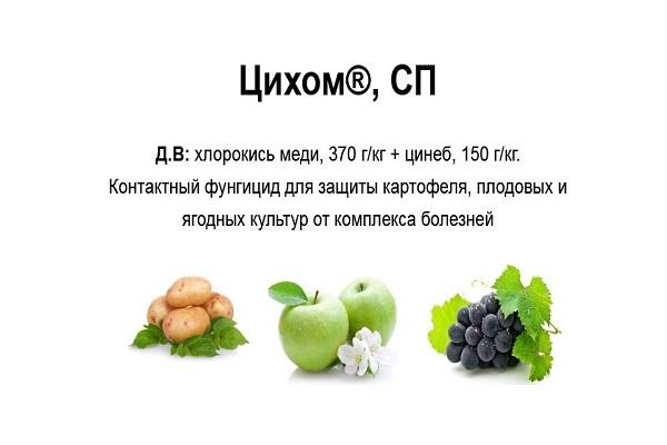 compatibility with others