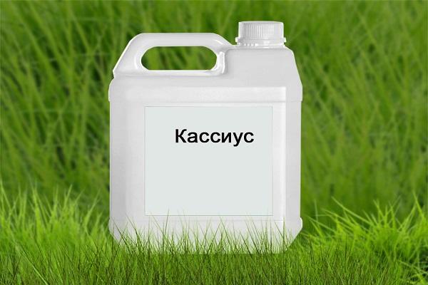 Gebrauchsanweisung des Herbizids Zontran, Verbrauchsraten und Analoga