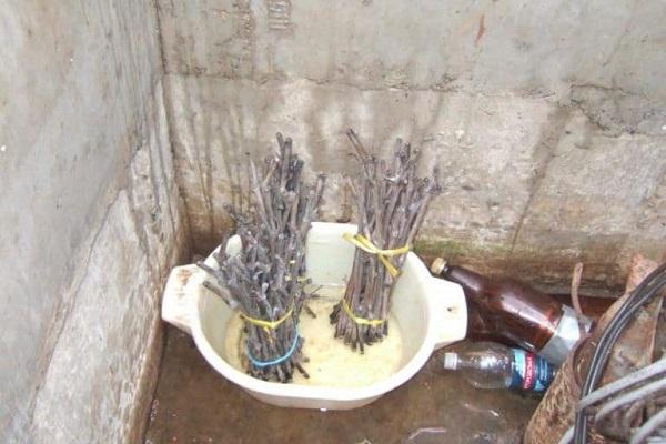 in the winter in the basement