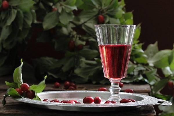 in einer Schüssel trinken