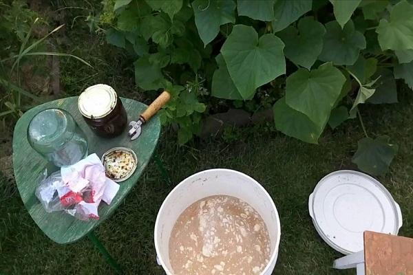 Vorbereitung der Fütterung