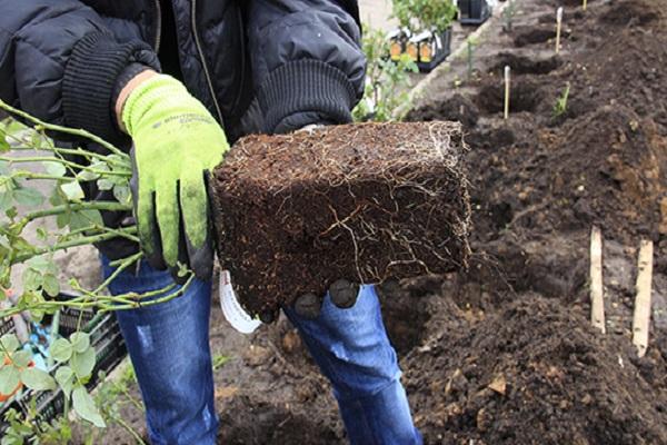 in das Loch übertragen