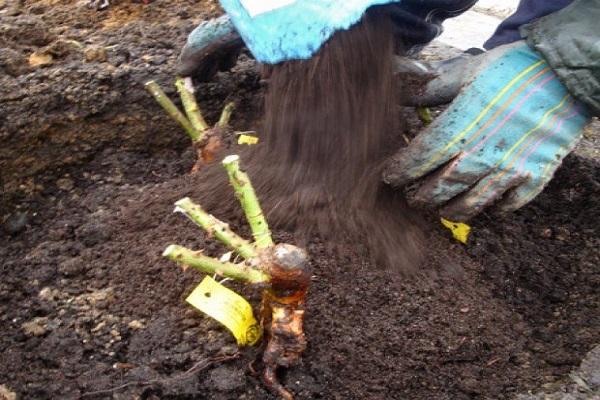 atterrissage dans le trou