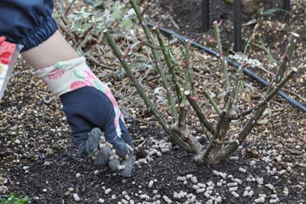 Granulat hinzufügen