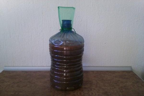 fermentation en conteneurs