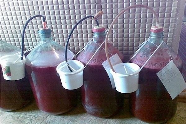 boisson de fermentation