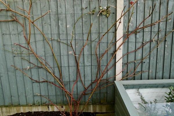 attaché sur des tiges