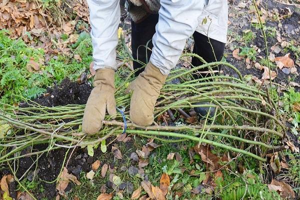 cravate et couverture