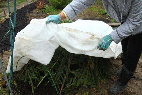 Vorbereitung auf den Winter