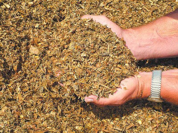 Combisilos für Schweine