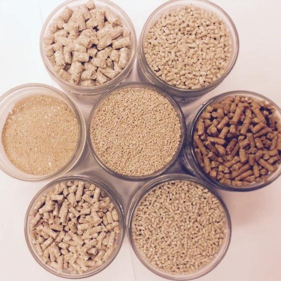 Antibiotika füttern