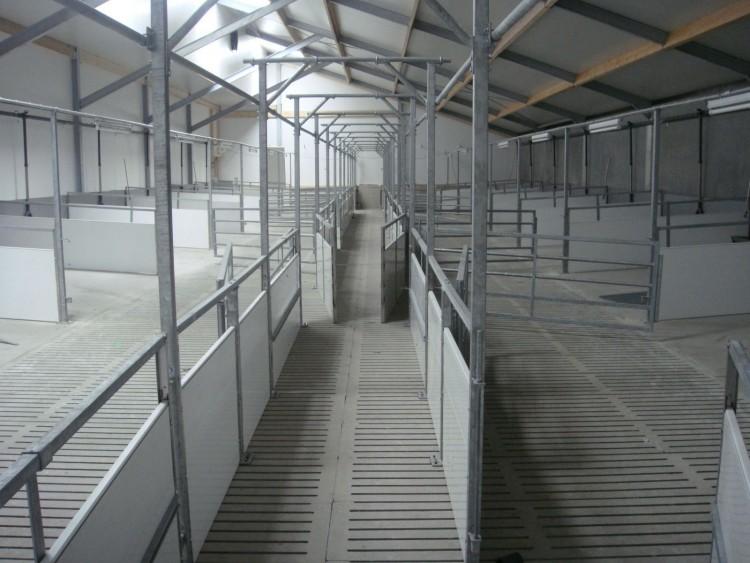 großer Schweinestall