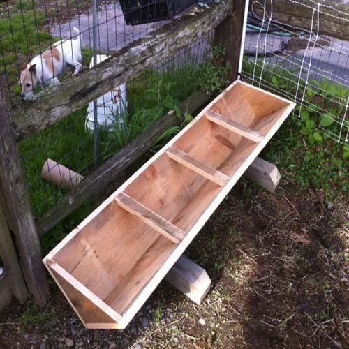 pig feeder