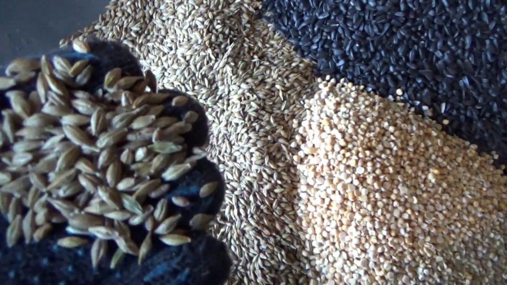 Mischfutter für Hühner