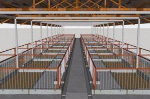 Anforderungen und Design eines Schweinestalls für 50 Köpfe, DIY Bauphasen