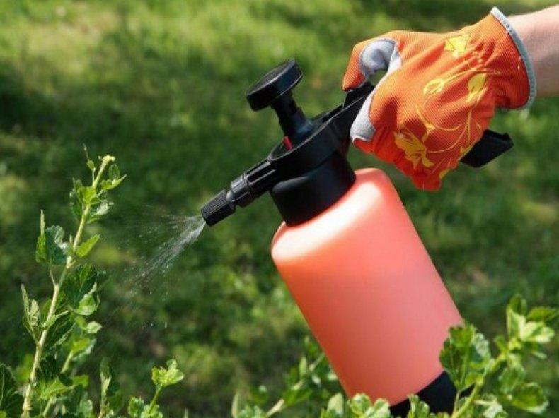 Büsche Verarbeitung