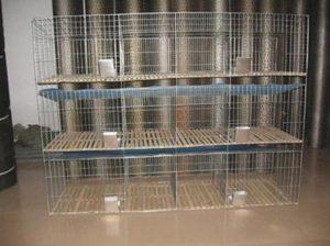 Types et règles de fabrication de cages en treillis bricolage pour lapins