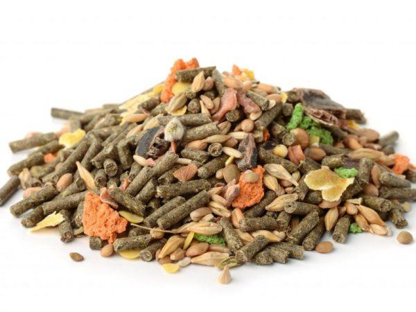 Vitamine für Kaninchen