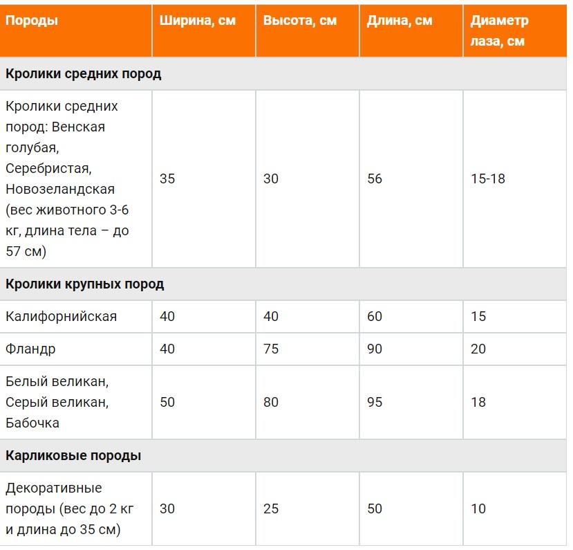 Maße und Zeichnungen einer Königinzelle für Kaninchen und wie man es selbst macht