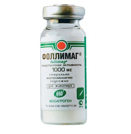 Follymag für Kaninchen