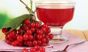 TOP 10 des façons de garder le viorne à la maison pour l'hiver