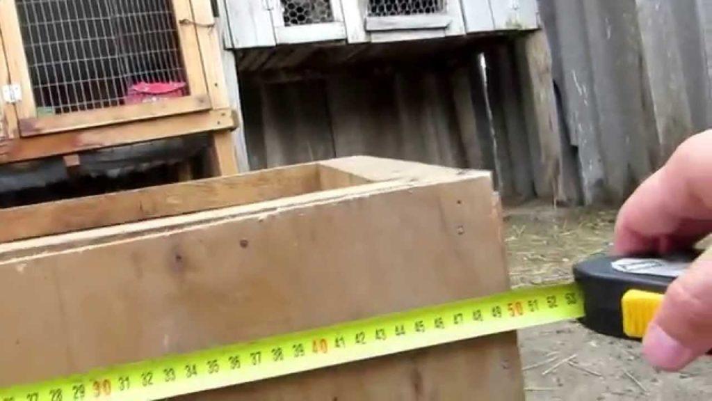 Königin Zelle für Kaninchen