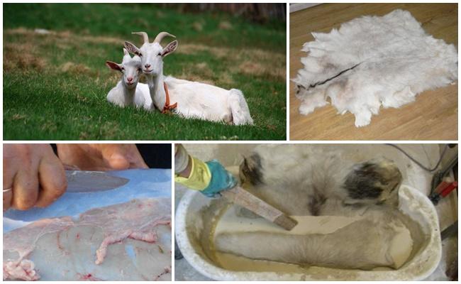 NETTOYAGE DE LA PEAU