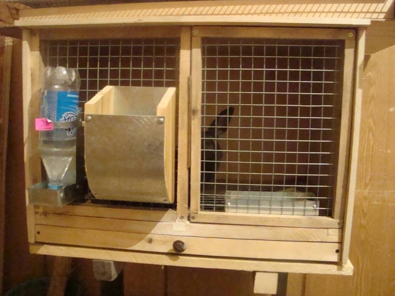 Dimensions et dessins des 10 meilleurs types de mangeoires pour lapins