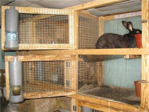 Depuis le profil du bâtiment