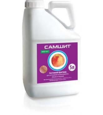 Composition et mode d'emploi du fongicide Buis, dosage et analogues